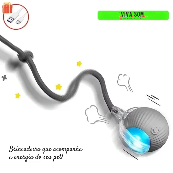 Cat PlayBall –Brinquedo para cães e gatos