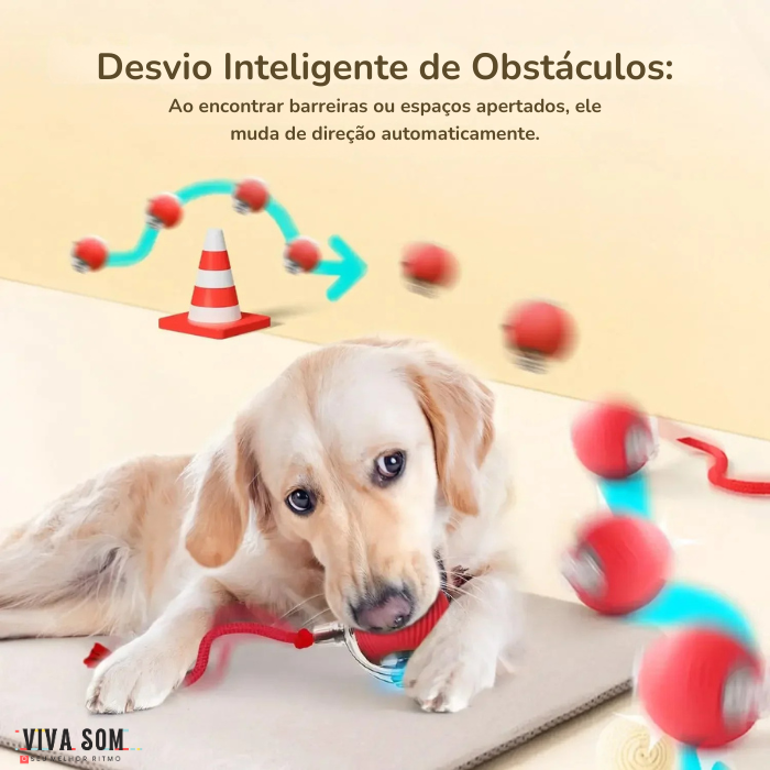 Cat PlayBall –Brinquedo para cães e gatos Viva Som