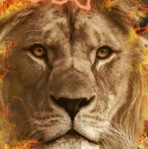 Ruja O Leão - Body Baby Unissex 497146