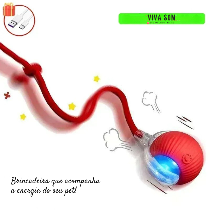 Cat PlayBall –Brinquedo para cães e gatos