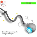 Cat PlayBall –Brinquedo para cães e gatos Viva Som