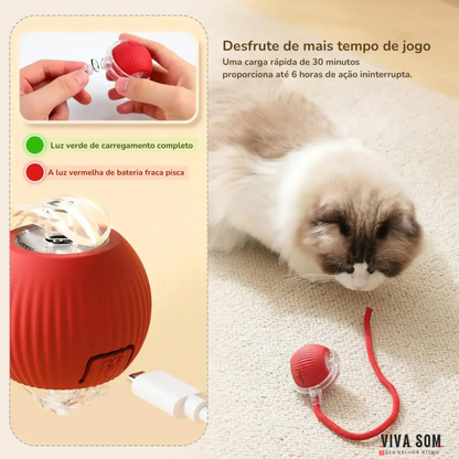 Cat PlayBall –Brinquedo para cães e gatos