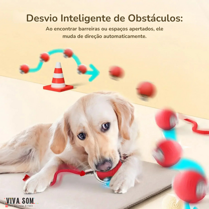 Cat PlayBall –Brinquedo para cães e gatos
