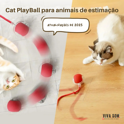 Cat PlayBall –Brinquedo para cães e gatos