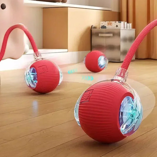 Cat PlayBall –Brinquedo para cães e gatos